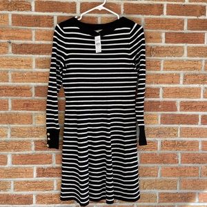 Loft dress NWT